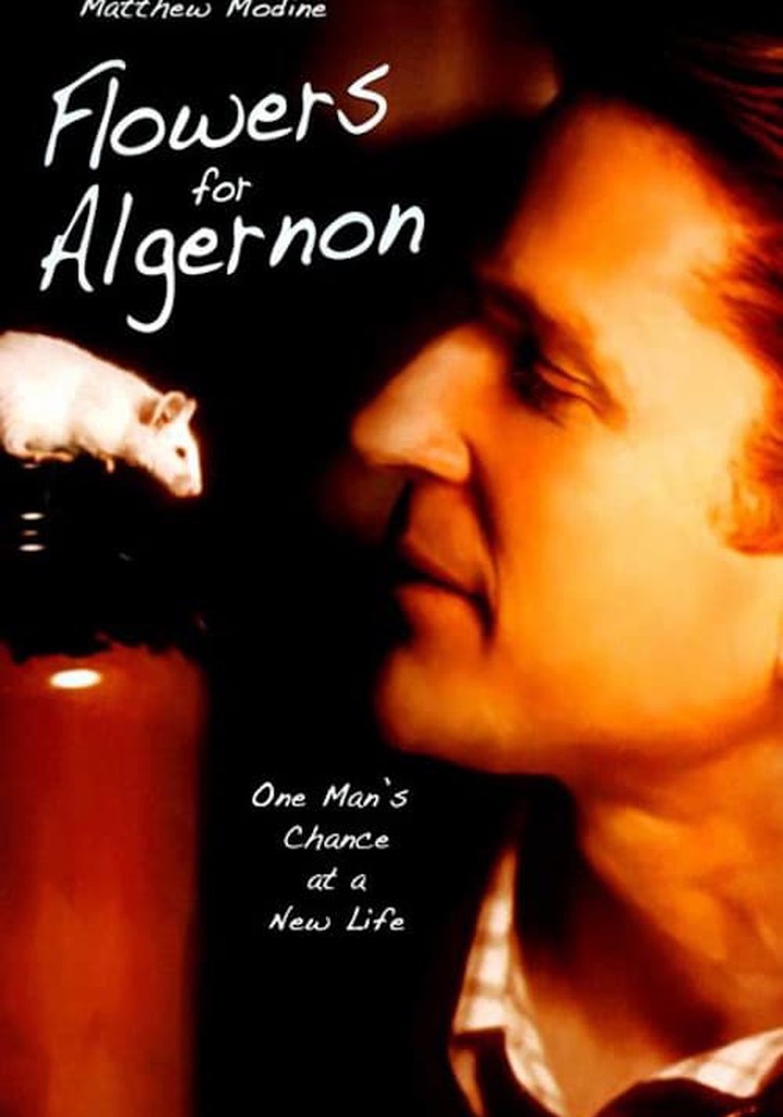Flowers for Algernon streaming where to watch online?